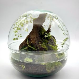 Terrarium Mountain Cliff