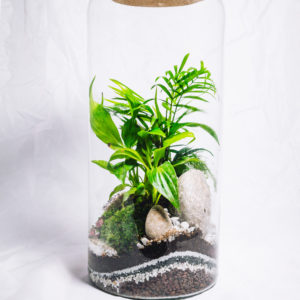 Terrarium Java - Terrakit